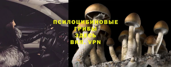 MDMA Premium VHQ Армянск
