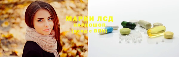 гидра Саяногорск