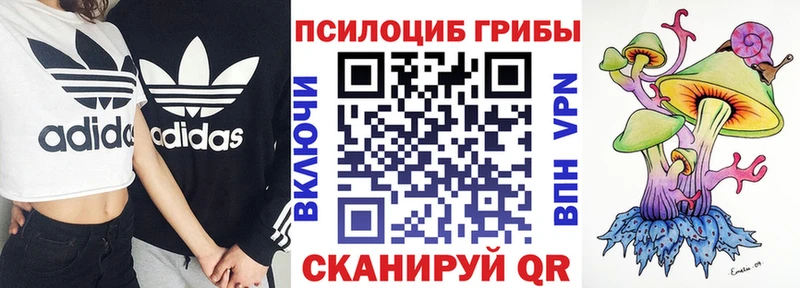 Псилоцибиновые грибы мухоморы  сколько стоит  Дорогобуж 